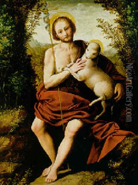 Saint Jean Baptiste Oil Painting - Bernardino Lanino