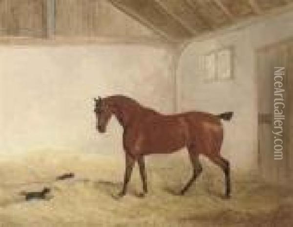 A Bay Hunter In A Stable Interior With A Dog Chasing A Cat Oil Painting - Richard Barrett Davis