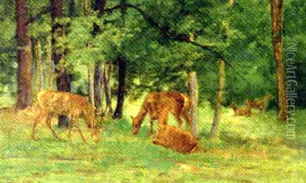 Deer Grazing In A Glade Oil Painting - Rosa Bonheur