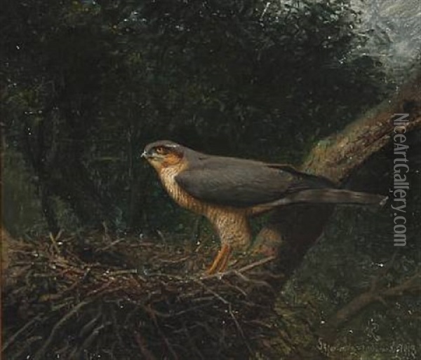 An Goshawk In Its Nest Oil Painting - Niels Peter Rasmussen