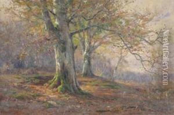 Autumn In The Woods Oil Painting - Frederik Golden Short