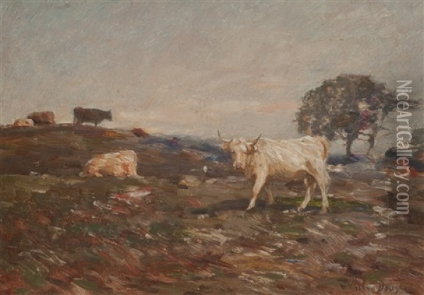 Cattle On The Perthshire Hills Oil Painting - Andrew Douglas