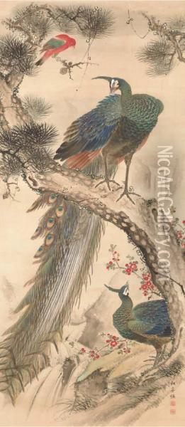 Peacocks And Parrot Oil Painting - Taki Katei