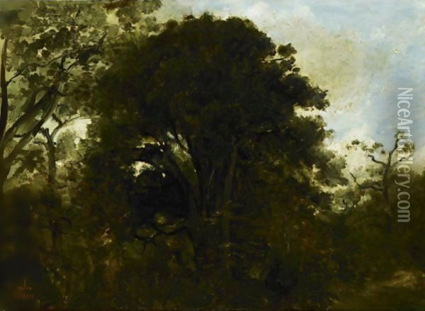 Study Of Trees Oil Painting - Jean-Baptiste-Camille Corot