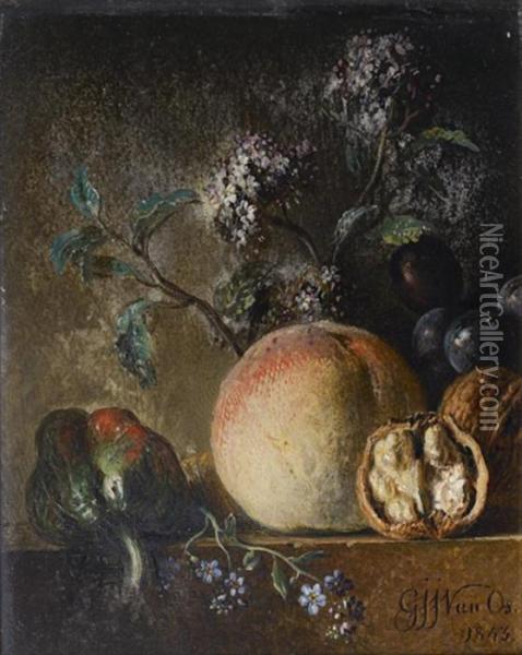 Nature Morte Aux Poivrons, Peches Et Noix Sur Un Entablement Oil Painting - Georgius Jacobus J. Van Os