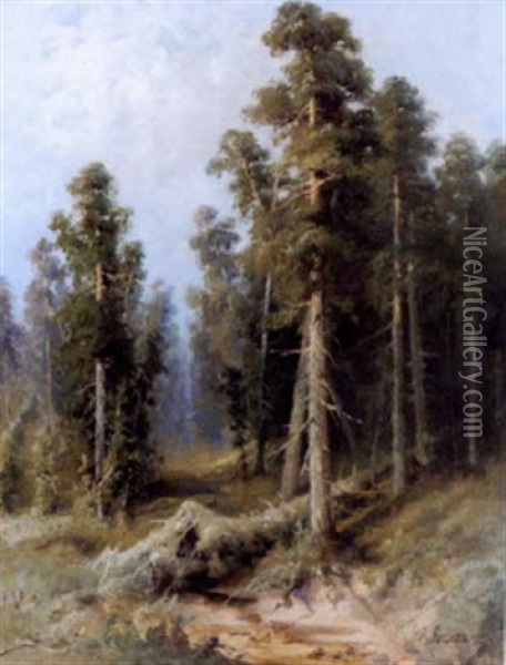 Forest With Wind-felled Trees Oil Painting - Aleksandr Petrovich Apsit