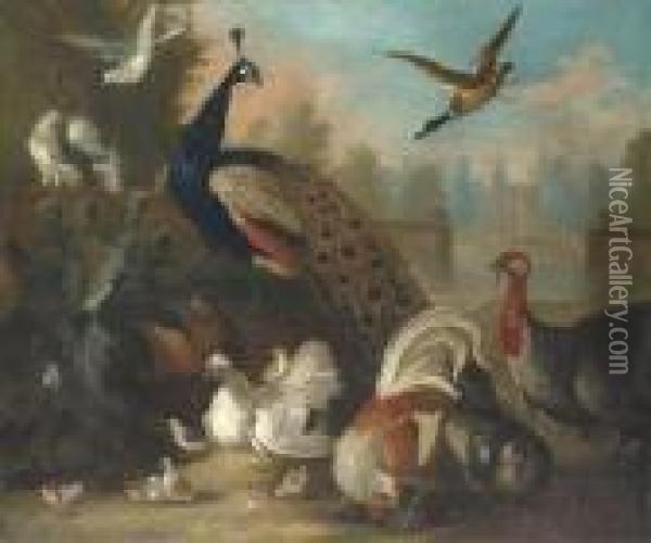 A Peacock And Other Birds In An Ornamental Landscape Oil Painting - Marmaduke Cradock