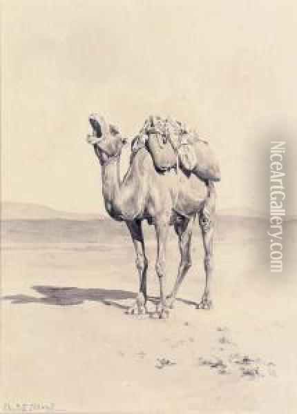 A Yawning Camel (illustrated); And Outside The City Walls Oil Painting - Aleardo Terzi