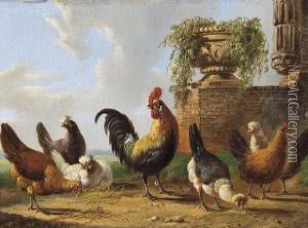 Poules De Basse-cour Dans Un Paysage Oil Painting - Albertus Verhoesen