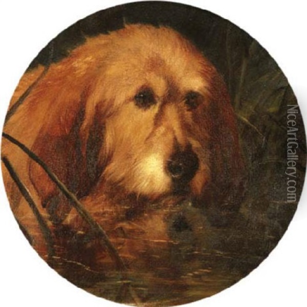 An Otter Hound In Reeds Oil Painting - George Earl
