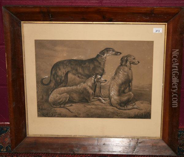 Study Of Deerhounds In Landscape Oil Painting - Samuel John Carter