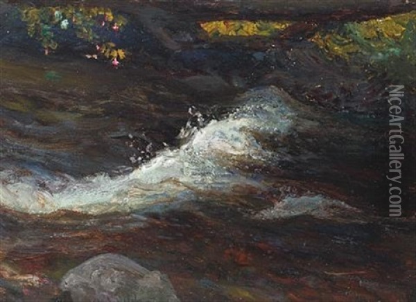 Rapids On A River Oil Painting - Alfredo Helsby