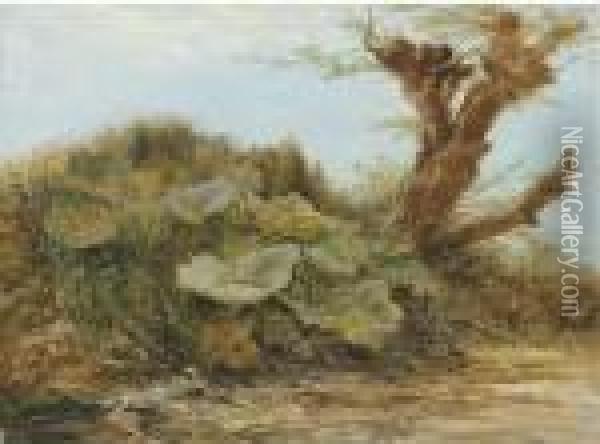 Study Of A Butter Burr And A Pollarded Willow Oil Painting - Samuel Bough