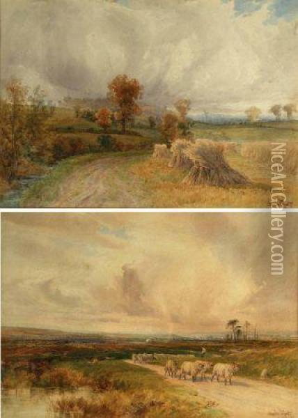 Harvest Field; And Sheep In A Country Lane Oil Painting - Charles Pigott