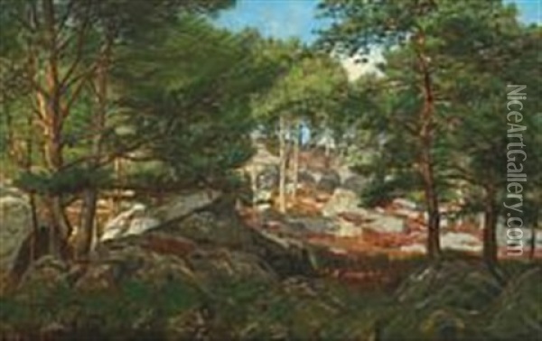 A Pinewood Forest With Larger And Smaller Boulders Oil Painting - Christian Peder Morch Zacho