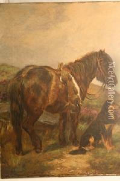 'horse Standing On Moorland W Oil Painting - Wright Barker