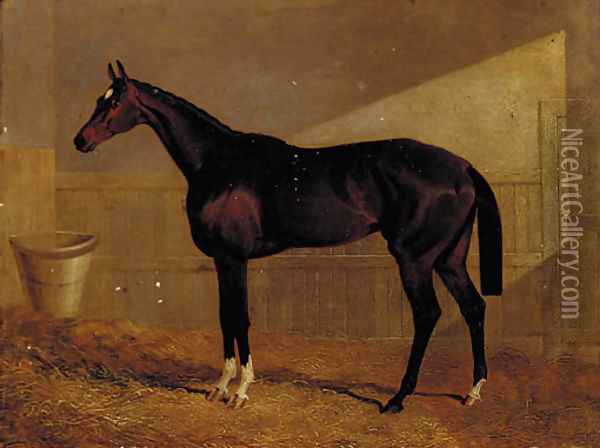 Lucetta, a bay racehorse in a stable Oil Painting - John Frederick Herring Snr