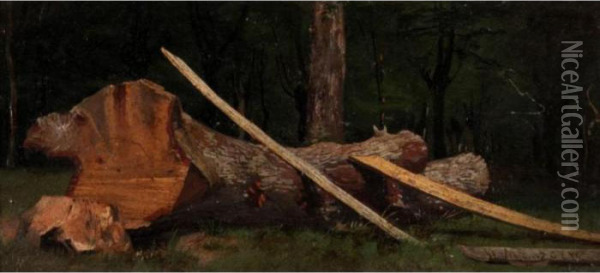 Tree Study Oil Painting - Adolph von Menzel