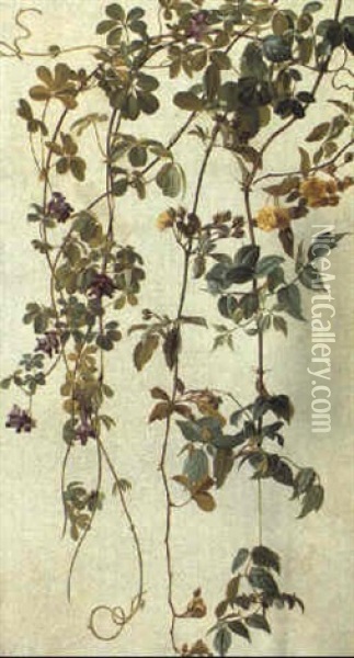 Blomstrende Slyngplanter Oil Painting - Carl Vilhelm Balsgaard