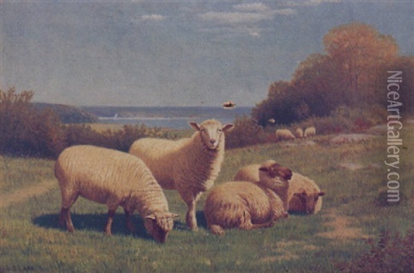 Pastoral Landscape With Flock Of Sheep, Small Flock Of Sheep In Background With Lake Oil Painting - Samuel S. Carr