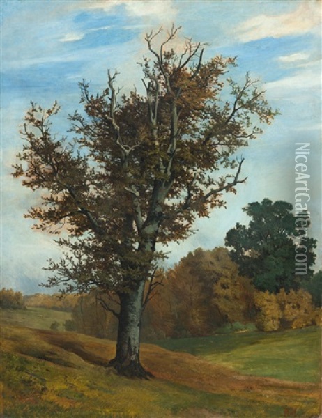 Buche In Herbstlicher Landschaft Oil Painting - Karl Hagemeister