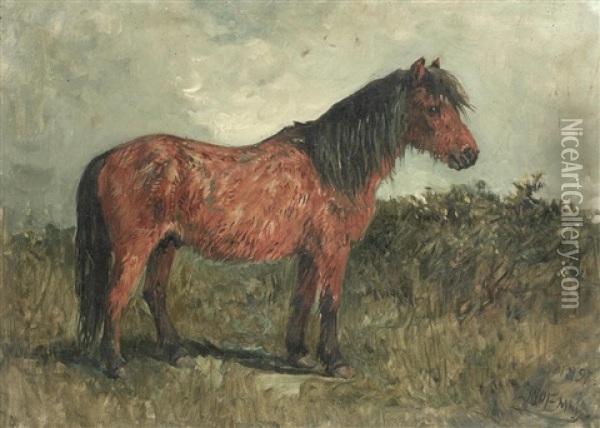 A Shetland Pony Oil Painting - John Emms