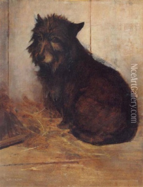 A Glencairn Terrier Oil Painting - Samuel Fulton