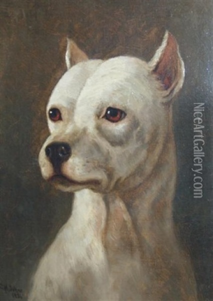 Portrait Of A Bull Terrier Oil Painting - Clarence M Johns