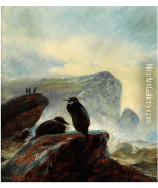 Kustenlandschaft Mit Kormoranenbei Skagen Oil Painting - Martinus Christian Wesseltoft Rorbye