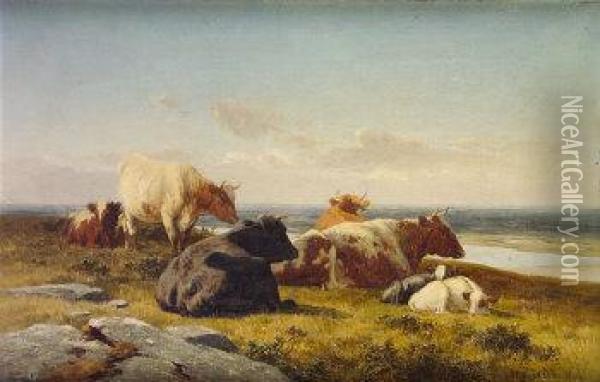 Cattle At Rest By Estuary Oil Painting - Alfred Grey