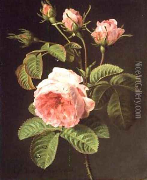 A Branch of Roses Oil Painting - Cornelis van Spaendonck