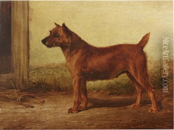 Irish Terrier Oil Painting - William Henry Hamilton Trood