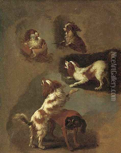 A study of spaniels Oil Painting - Jean-Honore Fragonard