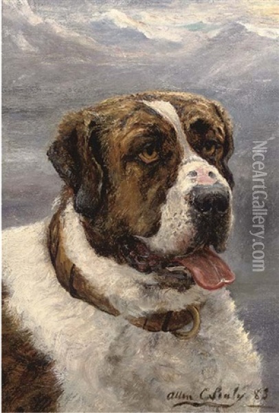 Portrait Of A St. Bernard, Turned To The Left (+ The Gentle Giant; Pair) Oil Painting - Allen Culpepper Sealy