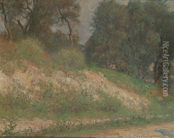 Landscape With Trees By A Bank Oil Painting - Zygmunt Andrychiewicz