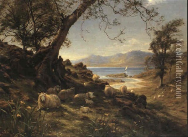 Sheep In A Glen, Springtime Oil Painting - Joseph Farquharson