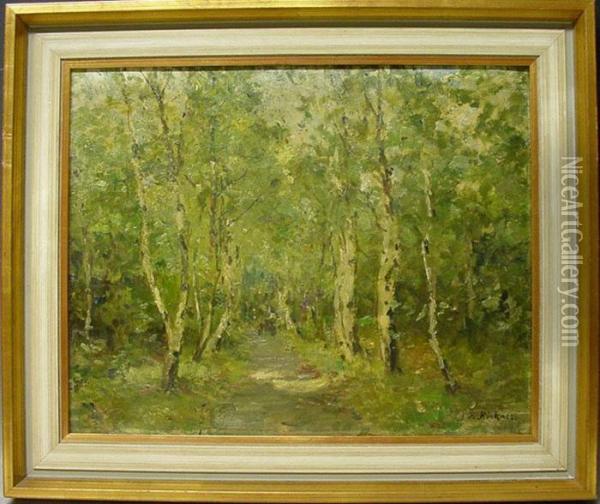 Birkenwald Oil Painting - Rudolf Hockner