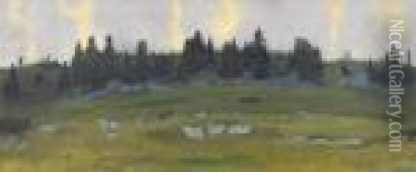 Hugelige Landschaft Mit Tannen Im Morgengrauen Oil Painting - Charles L'Eplattenier