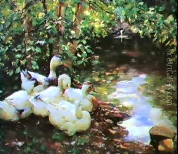 Five Ducks Beside A Stream Oil Painting - Alexander Max Koester