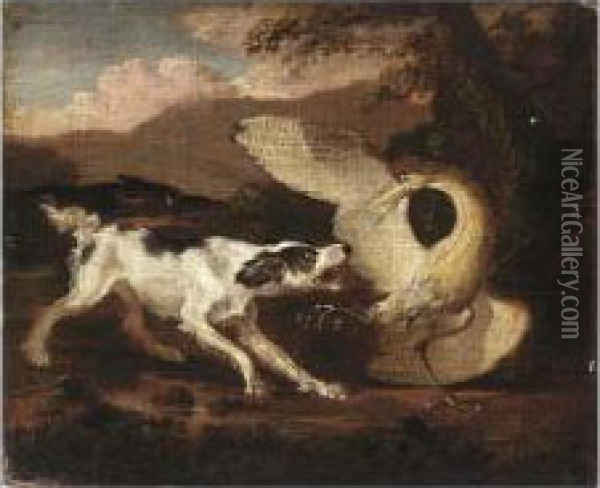Dogs Attacking A Heron Oil Painting - Abraham Hondius