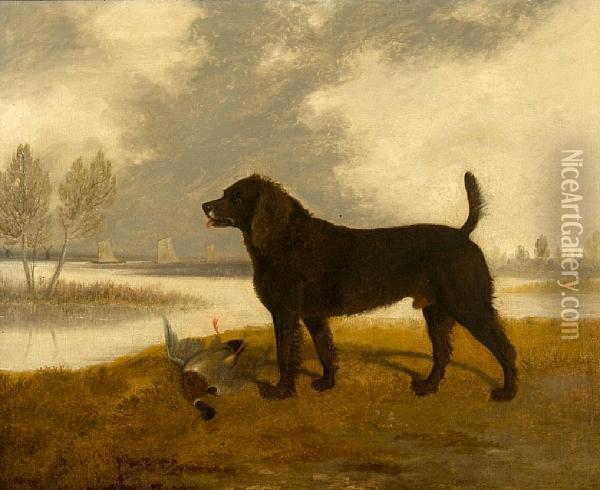 Portrait Of A Water Spaniel With Dead Mallardbefore A Broadland Landscape Oil Painting - Edwin, Archt. Cooper