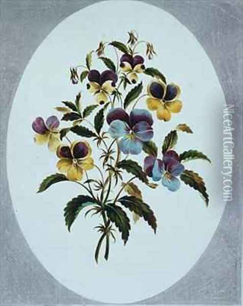 Heartsease varieties Oil Painting - John Edwards