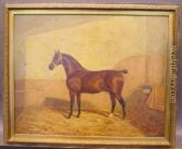 Horse In Stable Oil Painting - A. Clark