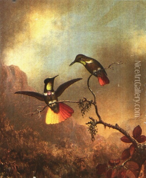 Two Hummingbirds In A Landscape Oil Painting - Martin Johnson Heade