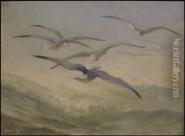 Birds In Flight Oil Painting - Edward Moran