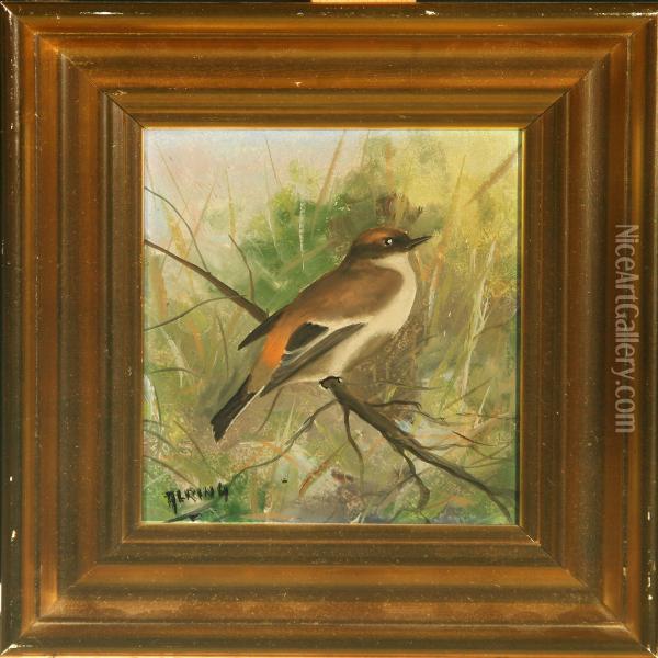 Flycatcher Oil Painting - Carl Amon