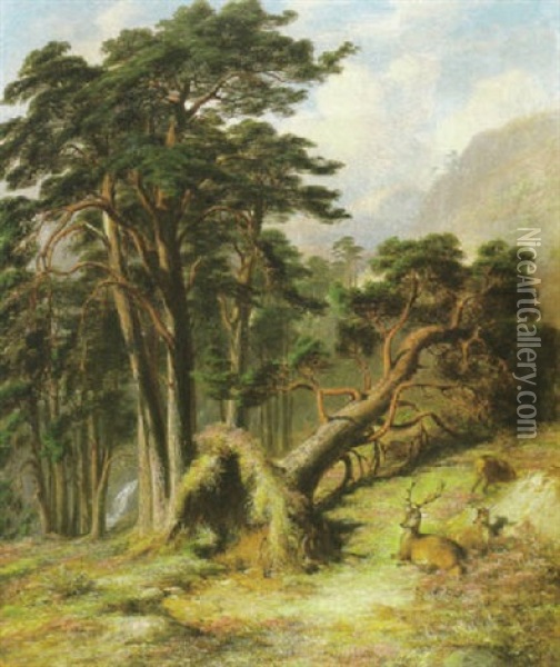 Glen Lubock Mar Forest, After A Gale Oil Painting - James William Giles