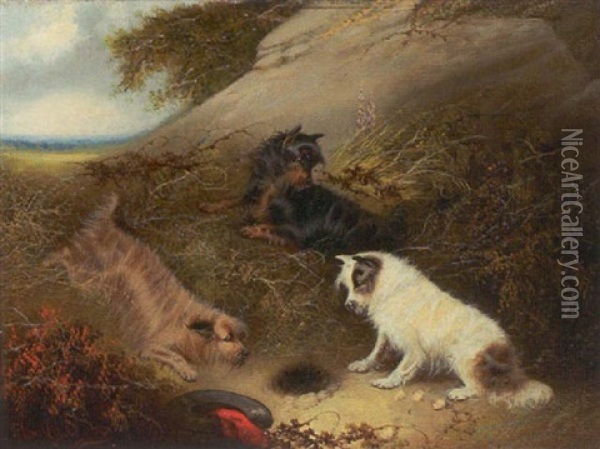 Hunde I Leg Oil Painting - George Armfield