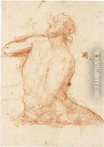 Seated Nude Seen From Behind Oil Painting - Francesco Montelaticci, Cecco Bravo