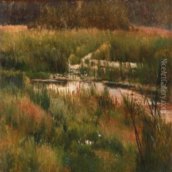 Summer Day At A Bog Oil Painting - Peter Christian T. Skovgaard